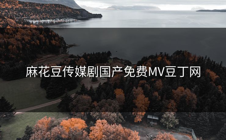 麻花豆传媒剧国产免费MV豆丁网