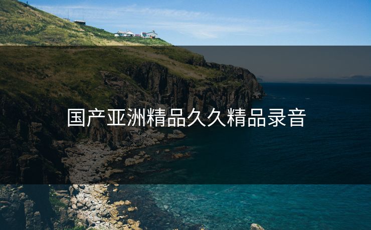 国产亚洲精品久久精品录音